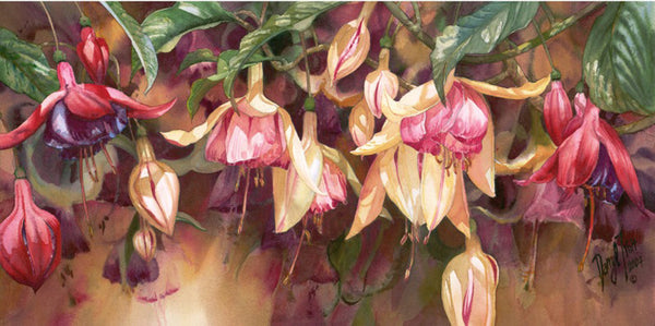 Radiant Fuchsias